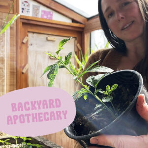 Backyard Apothecary Online Course