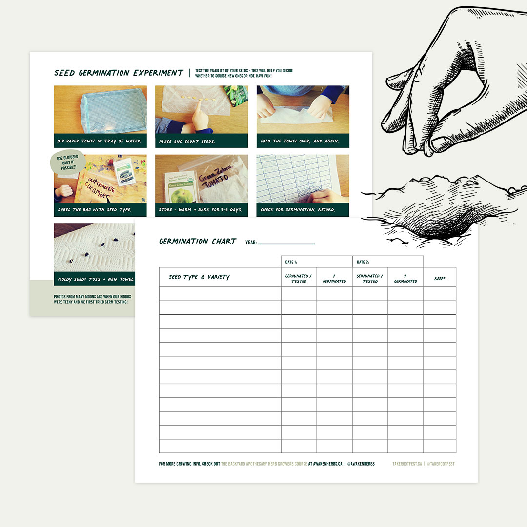 Seed Germination Tutorial & Printable Chart