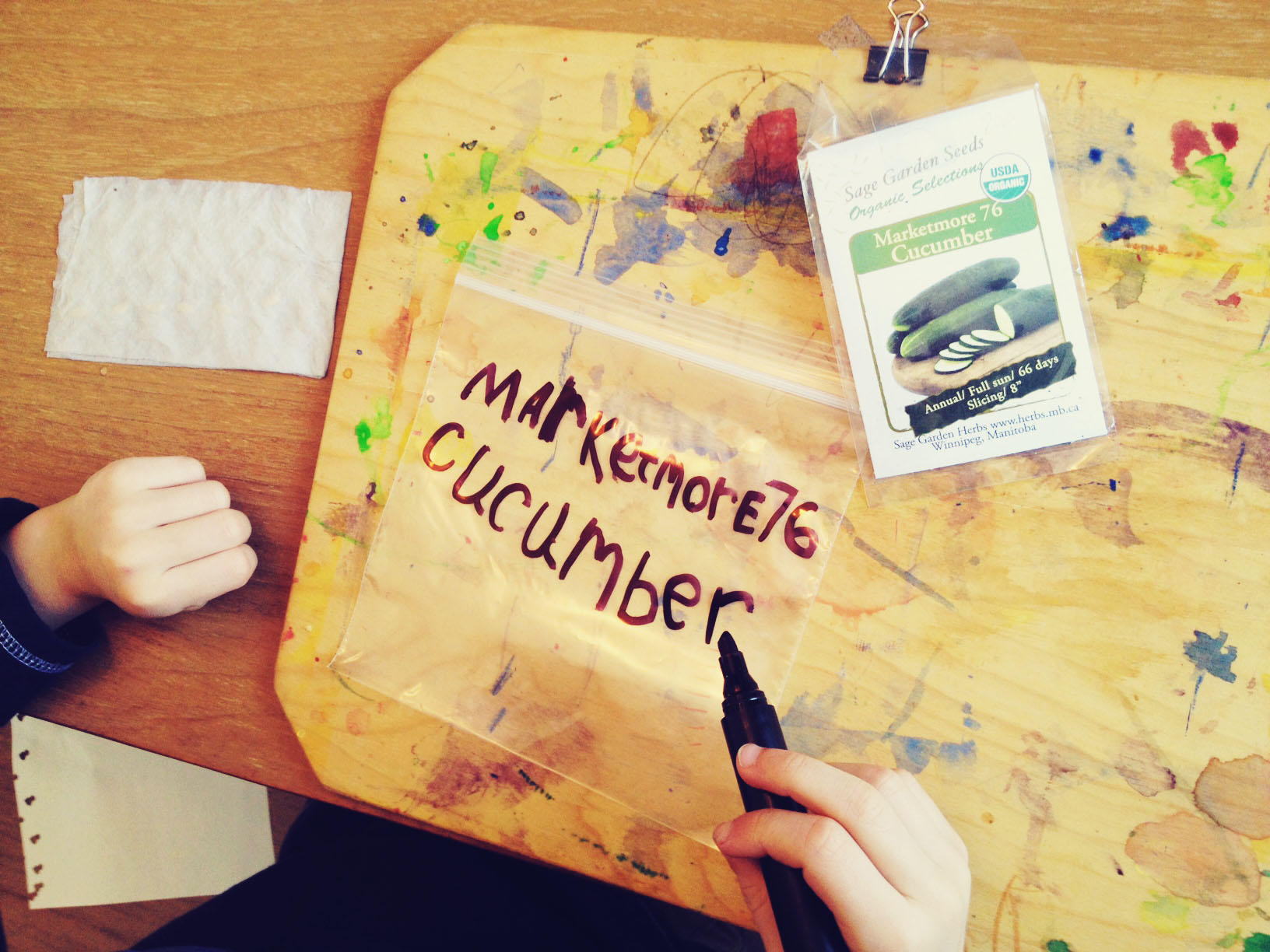 Seed Germination Tutorial & Printable Chart - Image 2