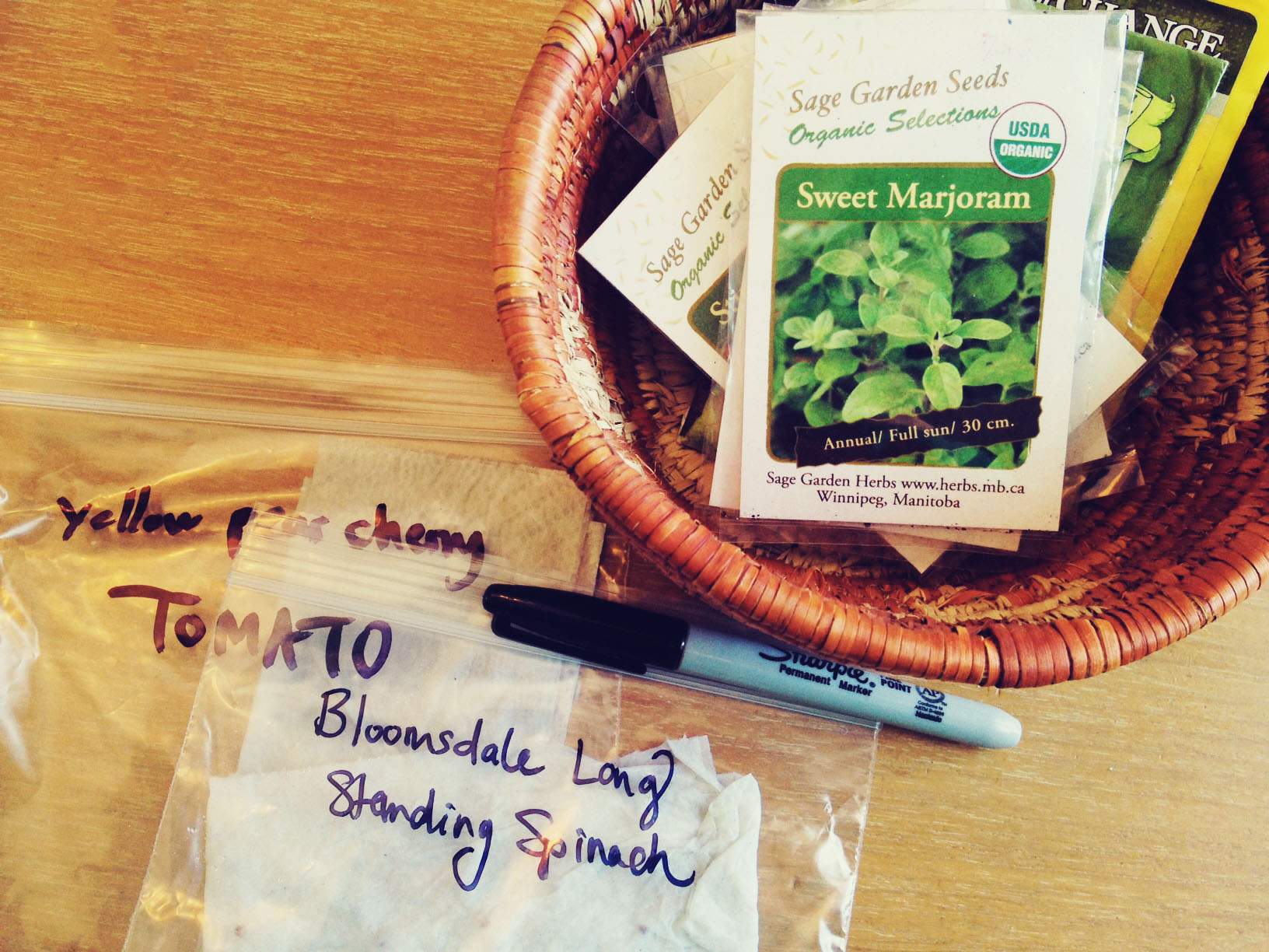 Seed Germination Tutorial & Printable Chart - Image 4