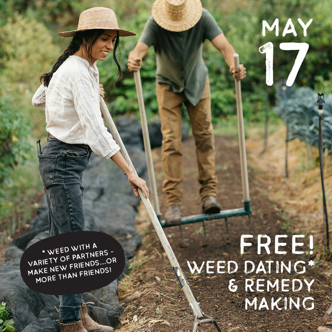 May 17 - FREE Weed Dating & Remedy Making Weed with a variety of partners - make new friends, or more than friends!